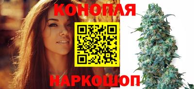 прущие крисы Нягань